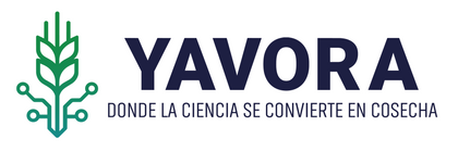 Yavora